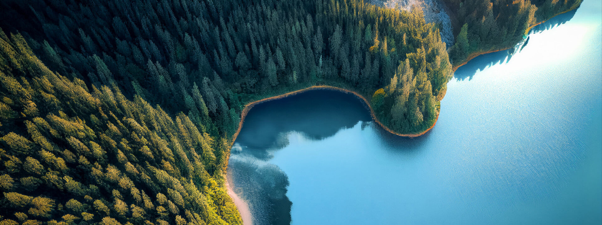 Test event koppeling Idloom-BC via Zapier